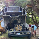 Illustration for article titled Man Tries Using Tree To Lift Ford Super Duty Cab And It Goes Terribly Wrong
